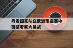 亚博体育APP-丹麦国家队在欧洲预选赛中面临着巨大挑战
