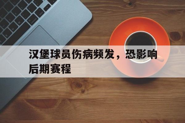 汉堡球员伤病频发，恐影响后期赛程
