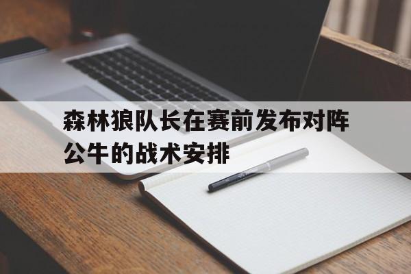 森林狼队长在赛前发布对阵公牛的战术安排